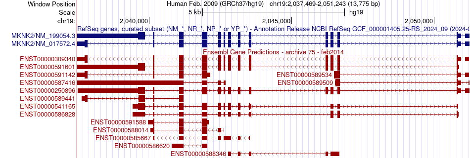 gene isoform structure of MKNK2