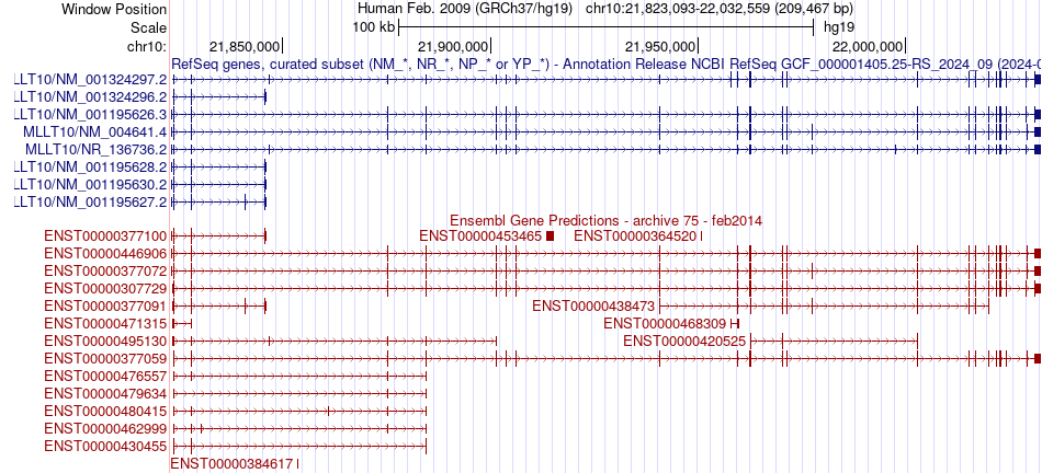 gene isoform structure of MLLT10