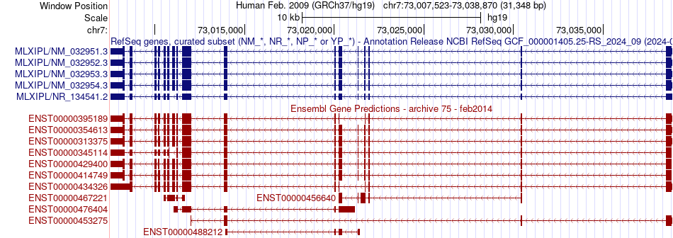 gene isoform structure of MLXIPL