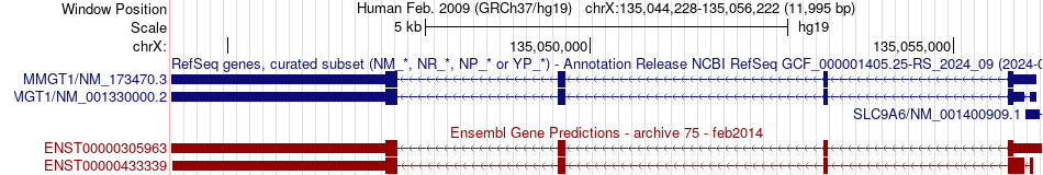 gene isoform structure of MMGT1