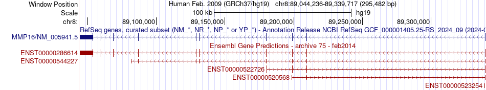 gene isoform structure of MMP16