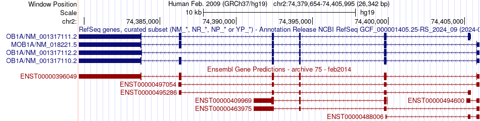 gene isoform structure of MOB1A