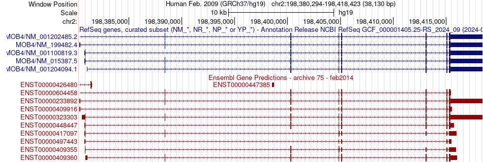 gene isoform structure of MOB4