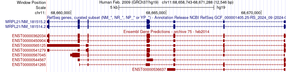 gene isoform structure of MRPL21