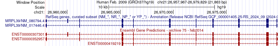 gene isoform structure of MRPL39