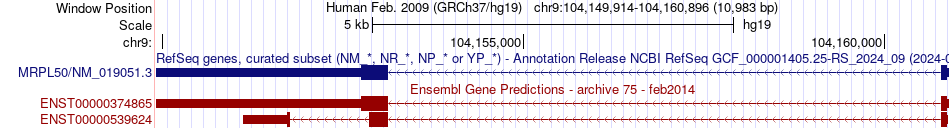 gene isoform structure of MRPL50