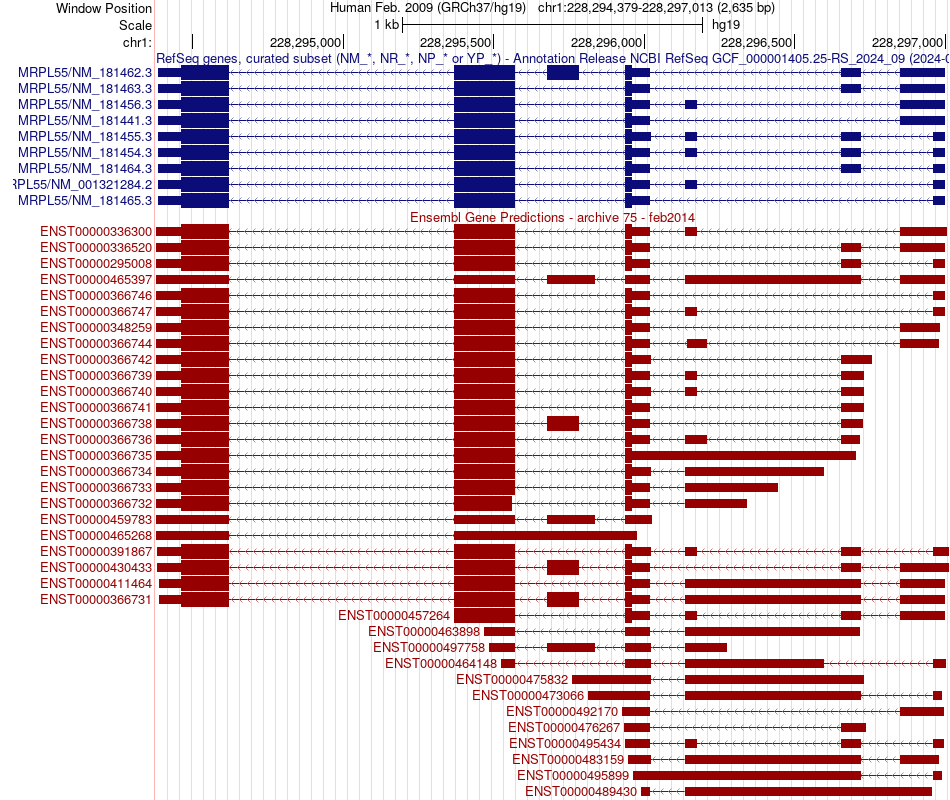 gene isoform structure of MRPL55