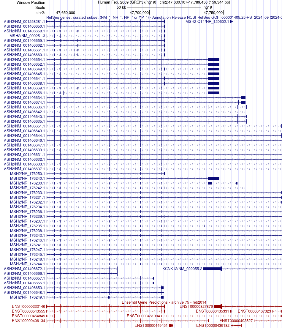 gene isoform structure of MSH2