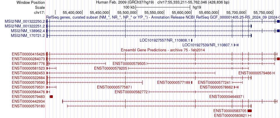 gene isoform structure of MSI2