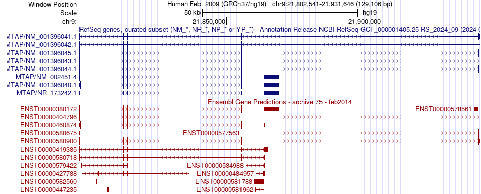 gene isoform structure of MTAP