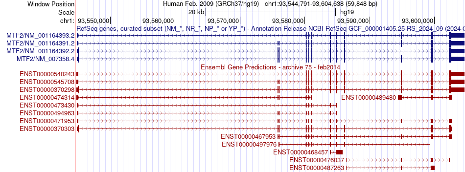 gene isoform structure of MTF2