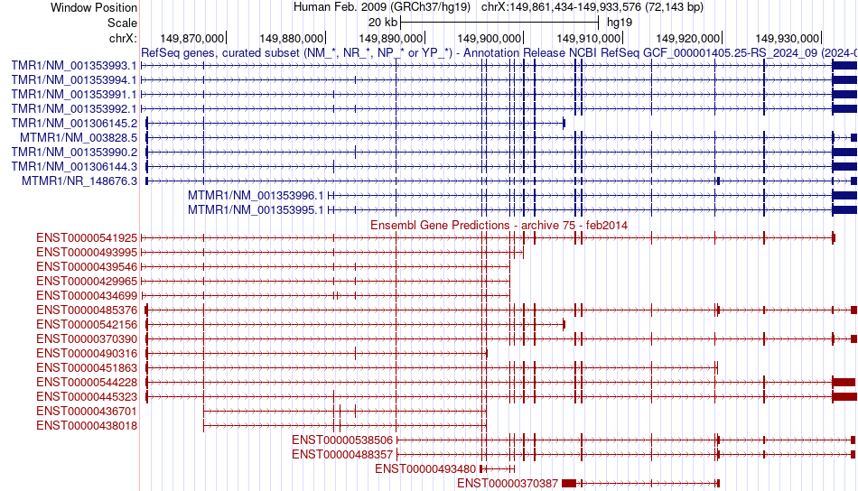 gene isoform structure of MTMR1