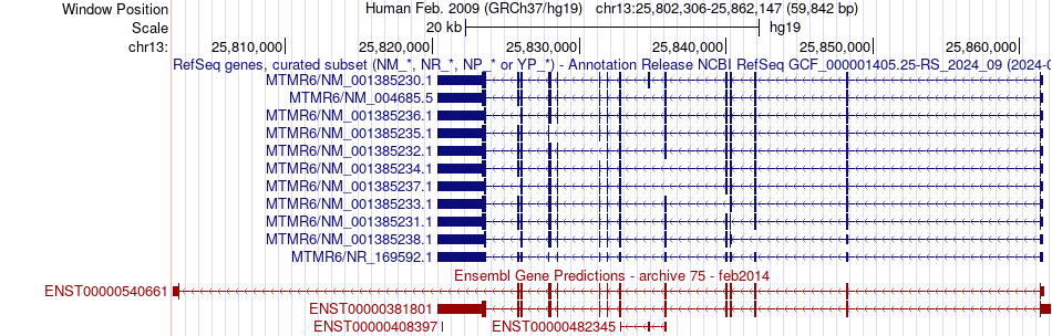 gene isoform structure of MTMR6