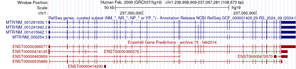 gene isoform structure of MTR