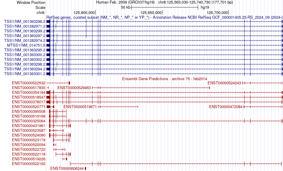 gene isoform structure of MTSS1