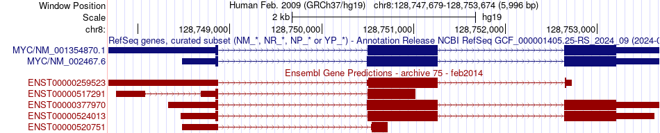 gene isoform structure of MYC