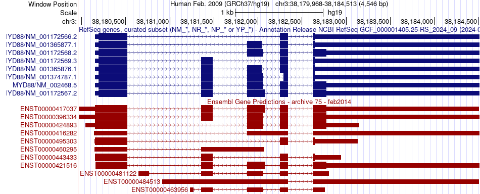 gene isoform structure of MYD88