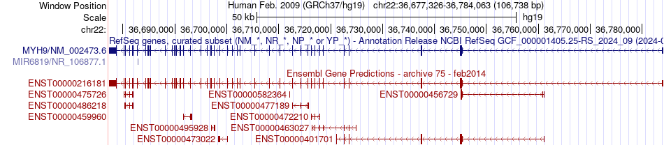 gene isoform structure of MYH9