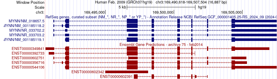 gene isoform structure of MYNN