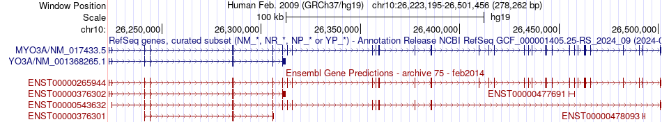gene isoform structure of MYO3A