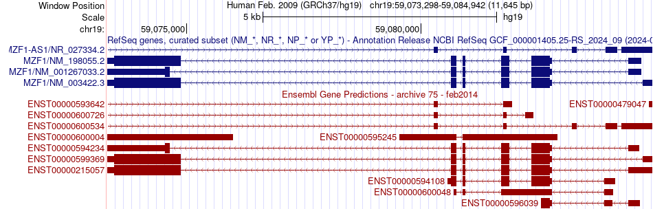 gene isoform structure of MZF1