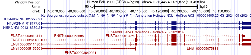 gene isoform structure of N4BP2