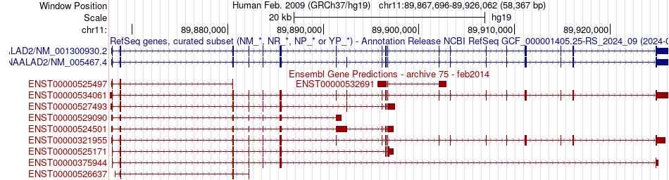gene isoform structure of NAALAD2