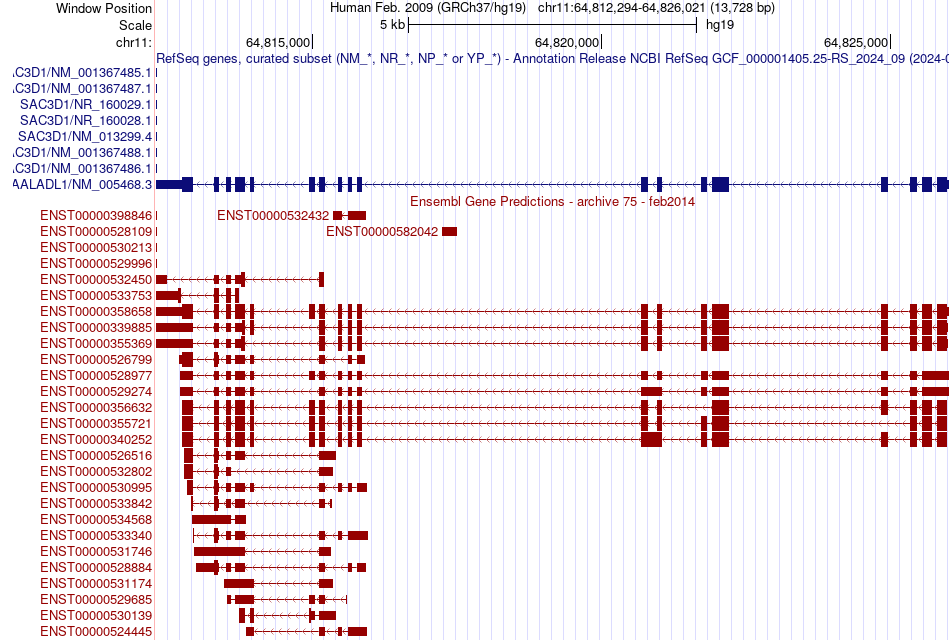 gene isoform structure of NAALADL1