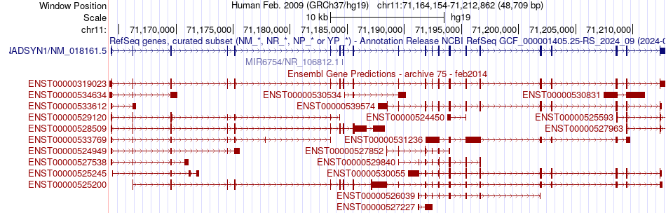 gene isoform structure of NADSYN1
