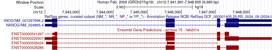 gene isoform structure of NANOG
