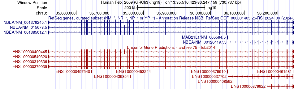 gene isoform structure of NBEA