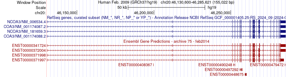 gene isoform structure of NCOA3