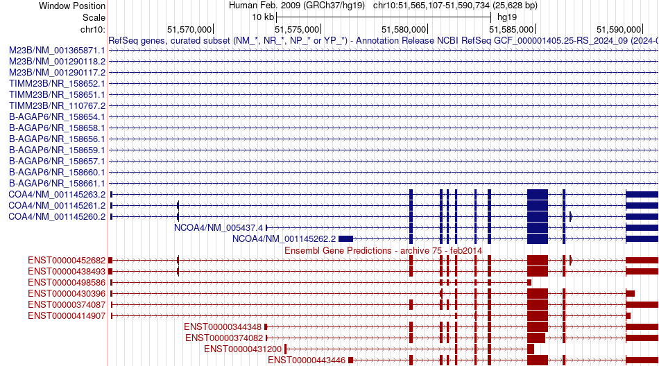 gene isoform structure of NCOA4