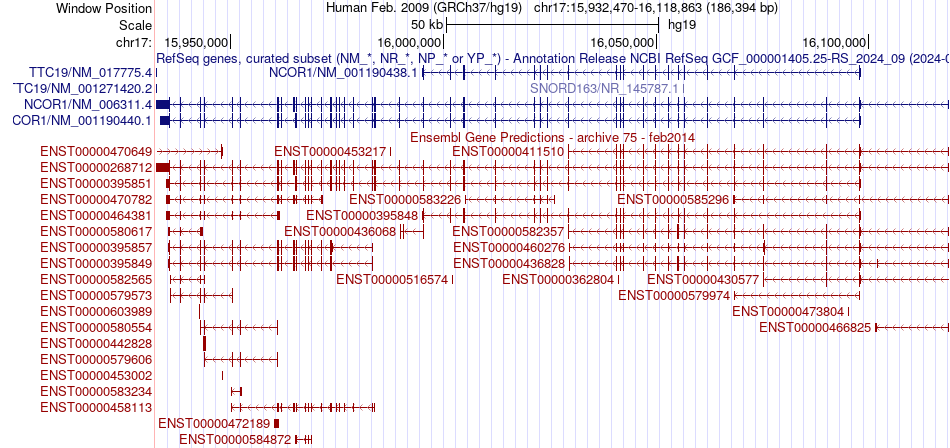 gene isoform structure of NCOR1