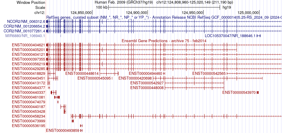 gene isoform structure of NCOR2