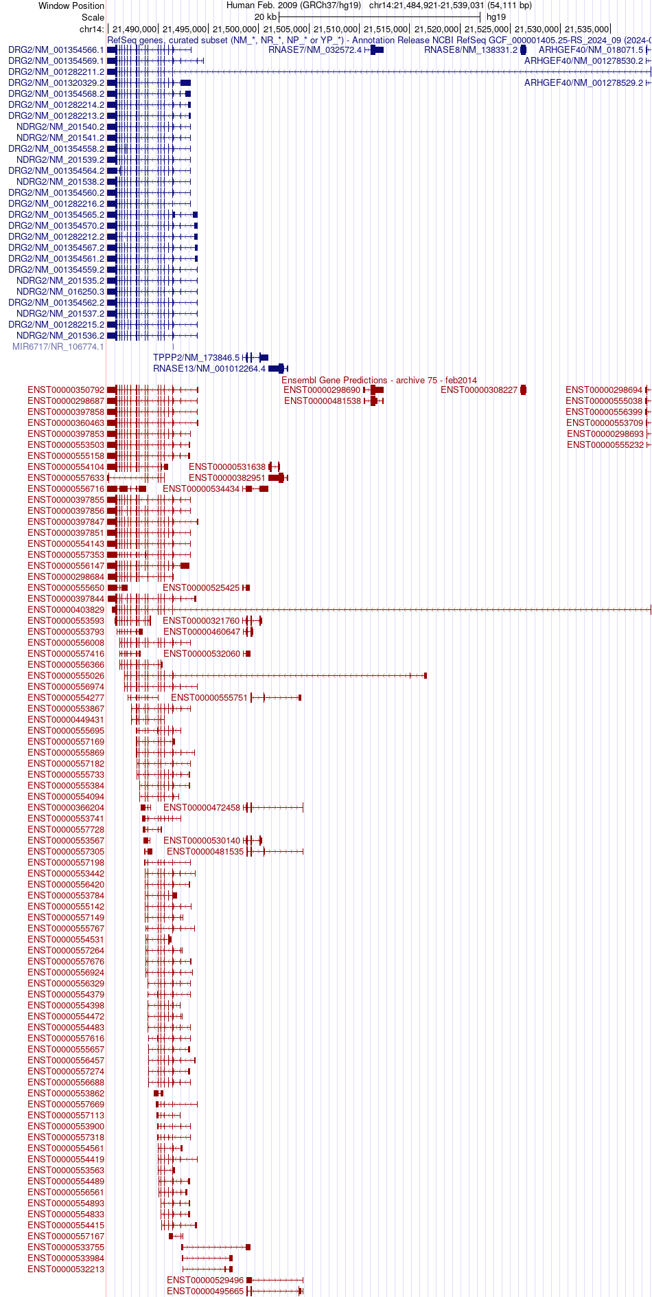 gene isoform structure of NDRG2