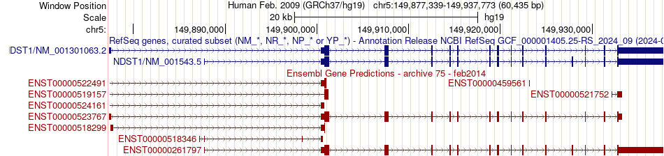 gene isoform structure of NDST1