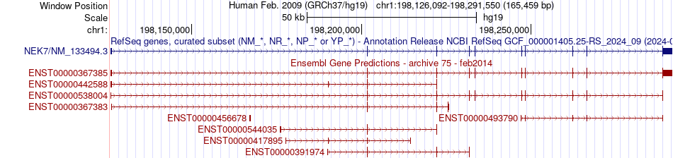 gene isoform structure of NEK7
