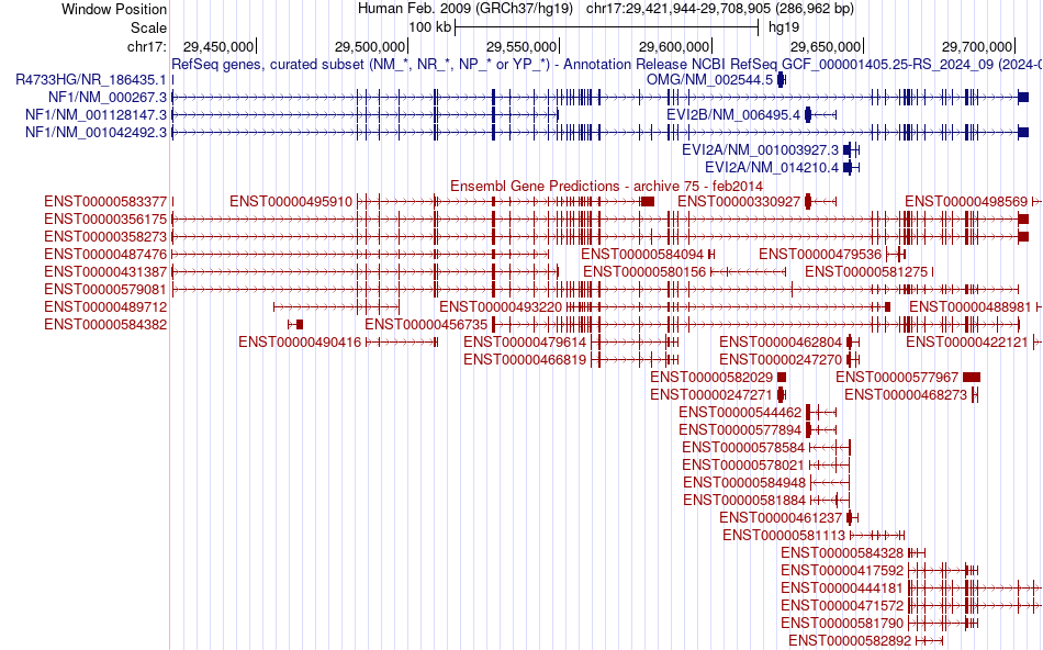 gene isoform structure of NF1