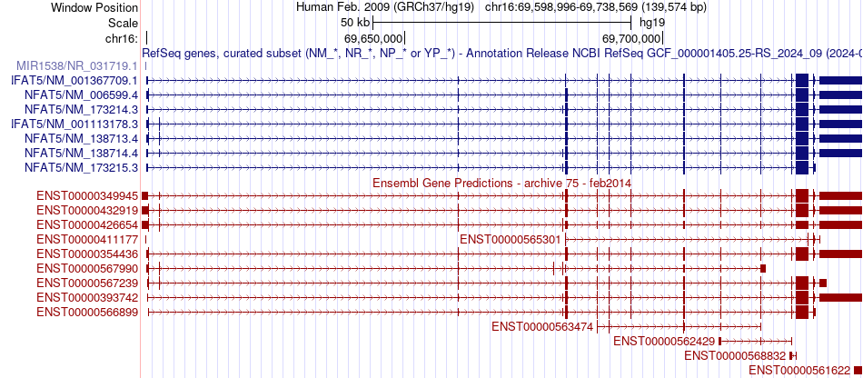 gene isoform structure of NFAT5