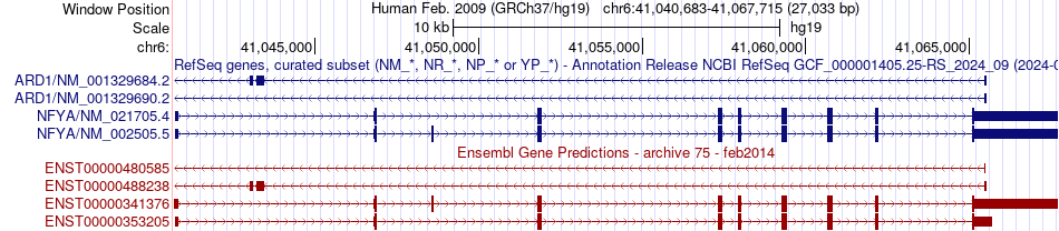 gene isoform structure of NFYA