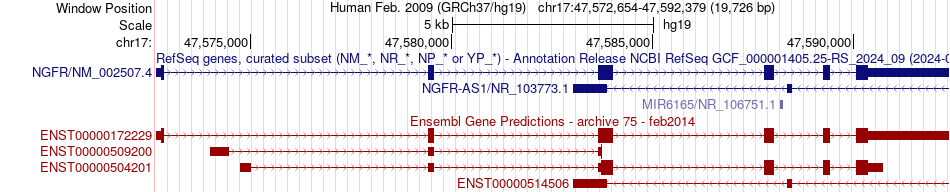 gene isoform structure of NGFR