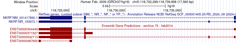 gene isoform structure of NKRF