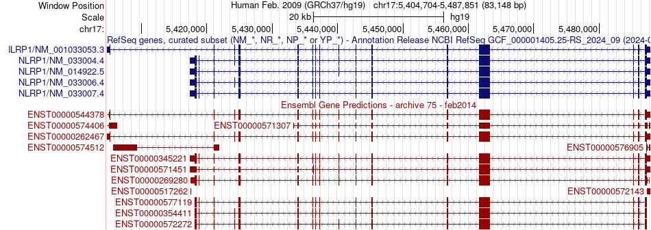 gene isoform structure of NLRP1