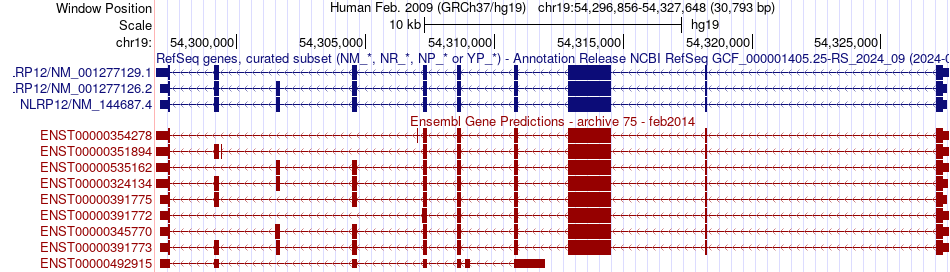 gene isoform structure of NLRP12
