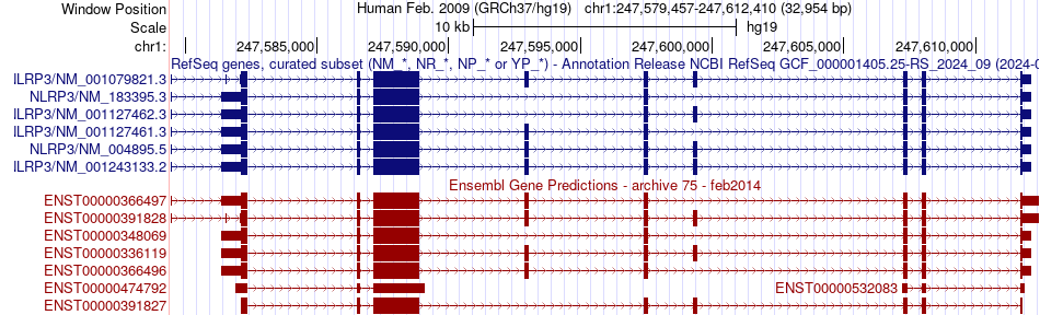 gene isoform structure of NLRP3