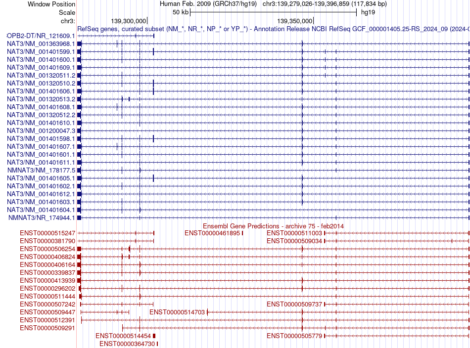 gene isoform structure of NMNAT3