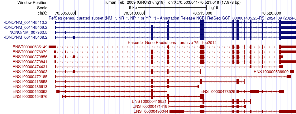 gene isoform structure of NONO