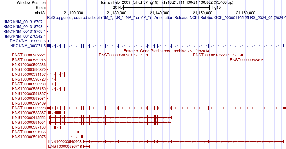gene isoform structure of NPC1