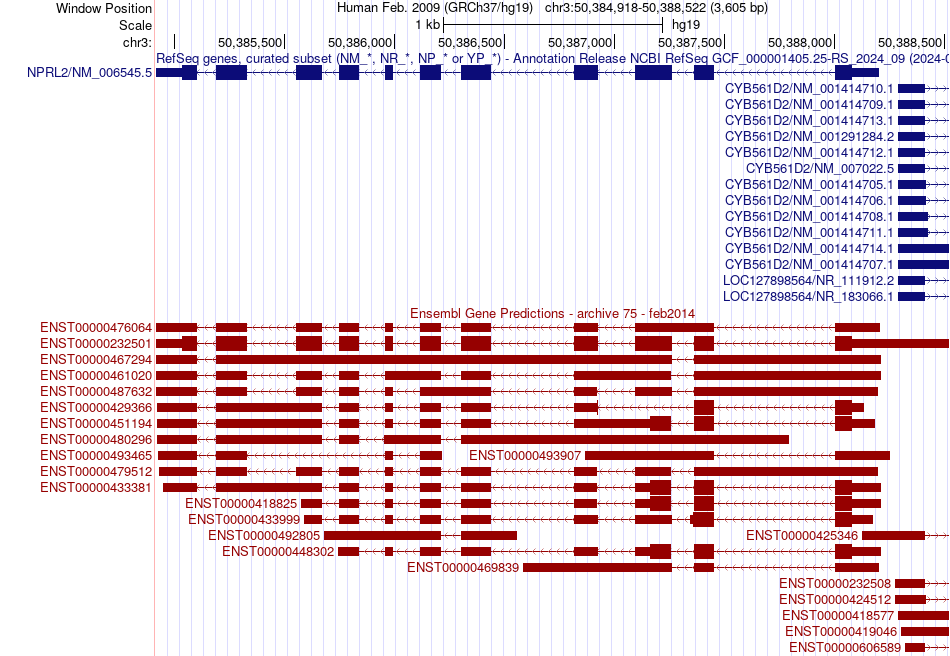 gene isoform structure of NPRL2
